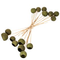 Prodotto Campanula su stelo, verde, fiori esotici essiccati, 5 cm, 15 pezzi