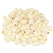 Prodotto Bellgum frutti di campana essiccati sbiancati 2,5-3,5 cm 500 g