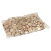 Prodotto Bellgum bellfruit capsula frutta decorazione naturale marrone 500g