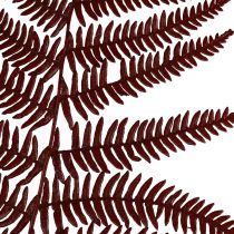 Prodotto Felce decorativa di felce di montagna foglie essiccate rosso vino 50 cm 20 pezzi