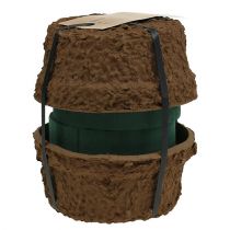 Prodotto Schiuma floreale bagnata con ciotola per fiori H10cm Ø16cm 2 pz