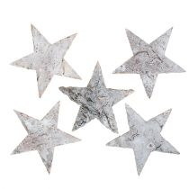 Prodotto Stella di betulla imbiancata 6,5 cm 36 pz