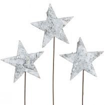Prodotto Stelle di betulla su filo Stelle corteccia di betulla bianca 6 cm 24 pz