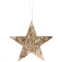 Prodotto Stelle di betulla per decorazioni sospese stelle corteccia di betulla 20 cm 4 pezzi