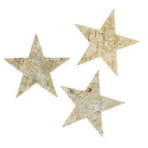 Prodotto Stelle di betulla 9 cm 70 pz