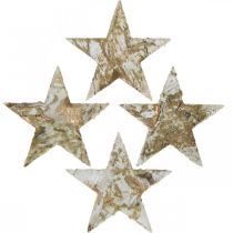 Prodotto Stella decorativa corteccia di betulla stelle di betulla naturale, dorata 6,5 cm 30 pz