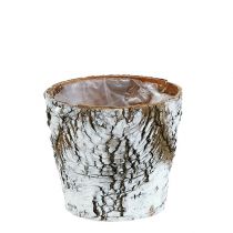 Prodotto Vaso di betulla fioriera piccola betulla bianca Ø10cm H8,5cm 6 pz