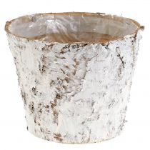 Prodotto Vaso decorativo vaso per piante in betulla sbiancata Ø18cm H15cm 2 pezzi