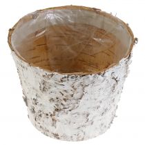 Prodotto Vaso decorativo vaso per piante in betulla sbiancata Ø18cm H15cm 2 pezzi