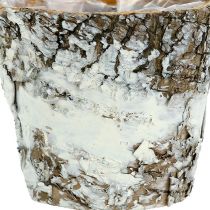 Vaso di betulla mini bianco Ø7cm H7cm