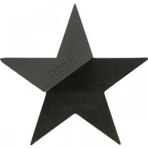 Prodotto OASIS® Black Bioline® Floral Foam Star Nero H30cm 2 pz
