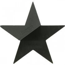 OASIS® Black Bioline® Floral Foam Star Black H30cm 2pz