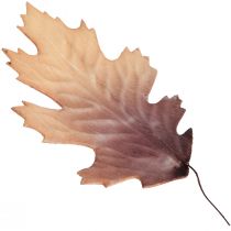 Foglia di quercia rossa foglie autunnali deco foglie deco 13×19cm 12pz