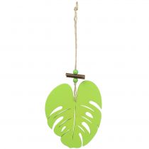 Foglia decorativa per finestre da appendere verde chiaro 14,5 cm