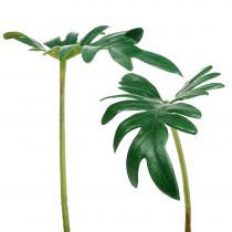 Prodotto Foglia Filodendro 31cm Verde 12 pz