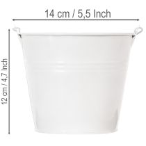 Prodotto Secchielli in latta bianca Ø14cm H12cm 6 pezzi
