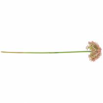 Prodotto Allium artificiale Rosa 55cm