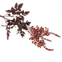Prodotto Fiore artificiale Astilbe a stelo lungo, splendore, 80 cm
