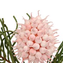 Ramo fiorito Schiuma rosa / verde 65 cm