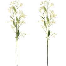 Prodotto Ramo decorativo di fiori di melo come fiore artificiale per accenti luminosi nel soggiorno, crema, 108 cm, 2 pezzi
