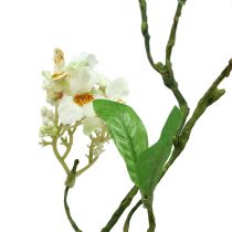 Prodotto Ramo di fiori bianco L 65 cm 1 pezzo Pianta artificiale come vera!
