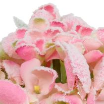 Ortensia rosa nevicato 33cm 4 pezzi