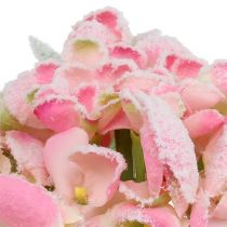 Prodotto Ortensia rosa con neve 33 cm 4 pz