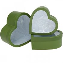Scatola regalo di fiori Scatola di fiori a cuore Verde 24/21,5/19 cm Set di 3