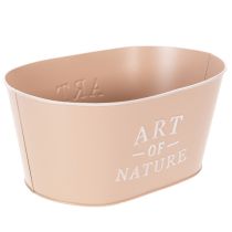Prodotto Vaso ovale in zinco, rosa antica, fioriera, 27×18 cm, H12,5 cm