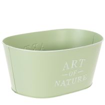 Prodotto Vaso per fiori ovale in zinco color verde menta, 27×18 cm, altezza 12,5 cm.