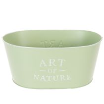 Prodotto Vaso per fiori ovale in zinco color verde menta, 27×18 cm, altezza 12,5 cm.