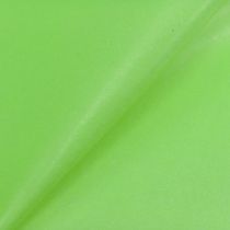 Prodotto Polsino di carta Verde maggio 25 cm 100 m