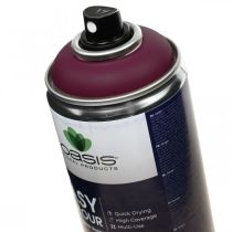 OASIS® Easy Color Spray, vernice spray Erika 400ml