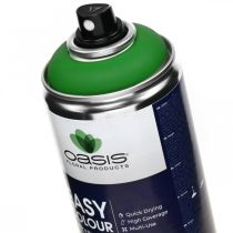 Prodotto Easy Color Spray, vernice spray verde, decorazione primaverile 400ml