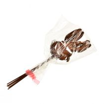 Prodotto Tappo fiore decorazione coniglio ruggine 7,5 cm × 11,5 cm 6 pz