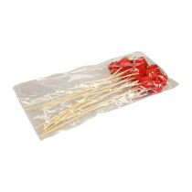 Prodotto Spina per fiori Confezione natalizia decorazione rossa 2,5 cm 15 pz