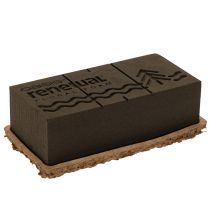 Prodotto Spugna floreale 1/1 mattone OASIS® Renewal® Spugna floreale Biolit® 24 cm 2 pezzi