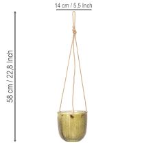 Prodotto Vaso da fiori/lanterna sospesa in vetro, viola/verde, 14 cm, 2 pezzi