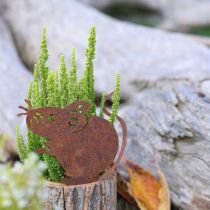 Prodotto Vaso da fiori in legno con corteccia e ruggine di topo H24cm