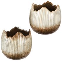 Prodotto Vaso in ceramica Uovo rotto Crema Marrone Ø11,5cm 2 pz