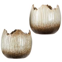 Prodotto Vaso in ceramica Uovo rotto Crema Marrone Ø11,5cm 2 pz