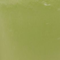 Prodotto Vaso per orchidee, vaso per fiori, vaso di plastica, verde, alto 16,5 cm, 2 pezzi