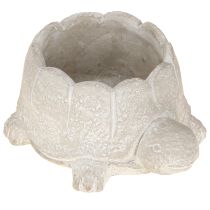 Prodotto Vaso da fiori tartaruga in cemento grigio bianco 15,5 cm 2 pezzi
