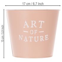 Prodotto Vaso da fiori in zinco Art of Nature, rosa antica, Ø17,5cm H15cm