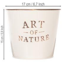 Prodotto Vaso da fiori in zinco Art of Nature color crema Ø17,5 cm H15 cm