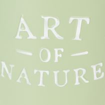 Prodotto Vaso da fiori in zinco Art of Nature verde menta Ø17,5cm H15cm