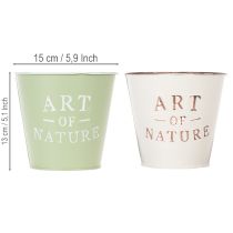 Prodotto Vaso "Art of Nature" con scritta, decorazione per davanzale e soggiorno, 15 cm, 2 pezzi
