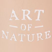 Prodotto Vaso da fiori in zinco, fioriera in metallo, rosa antica, Ø22cm H21cm