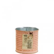 Prodotto Vaso di fiori latta decorativa in metallo color salmone latta per erbe aromatiche Ø8cm H7.5cm