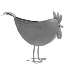 Prodotto Vaso per fiori pollo in metallo uccello decorazione in metallo zincato 51×16×37cm